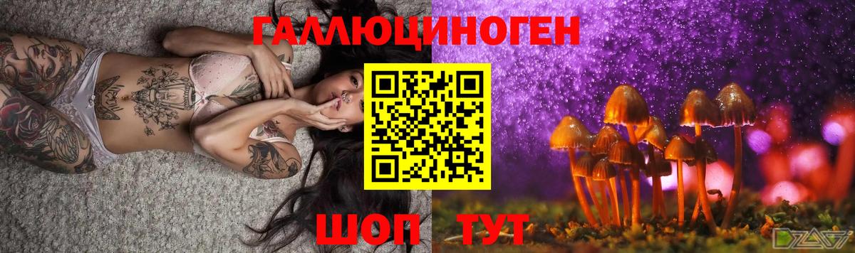 Железноводск  Галлюциногенные грибы мухоморы  Вход с VPN 
